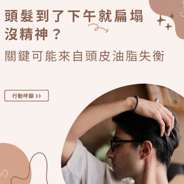 頭皮護理案例－髮線問題示意圖